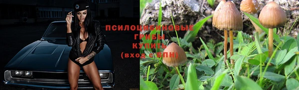 a pvp Алзамай