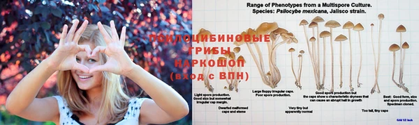 скорость mdpv Алексин