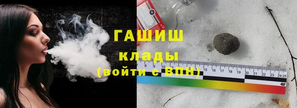 гашик Няндома