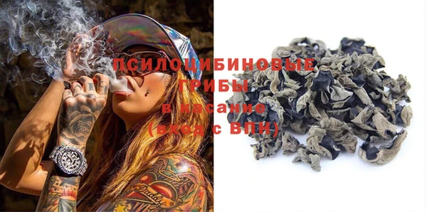 гашик Няндома