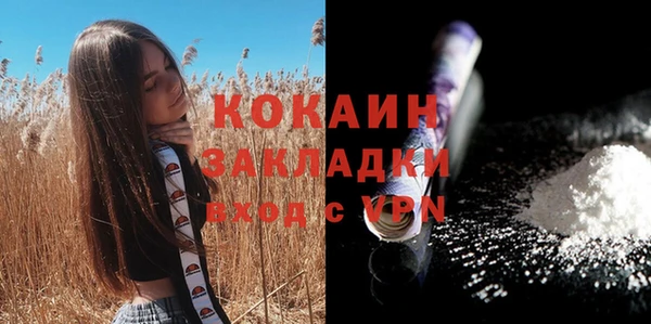 твердый Нягань