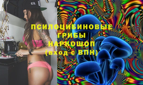 гашик Няндома