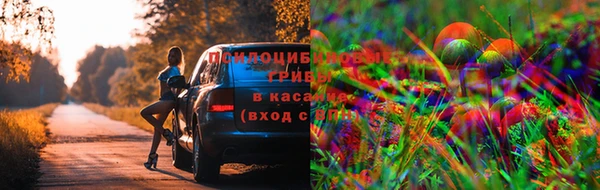 гашиш Нязепетровск