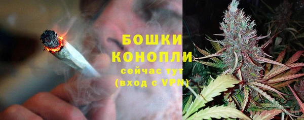 твердый Нягань